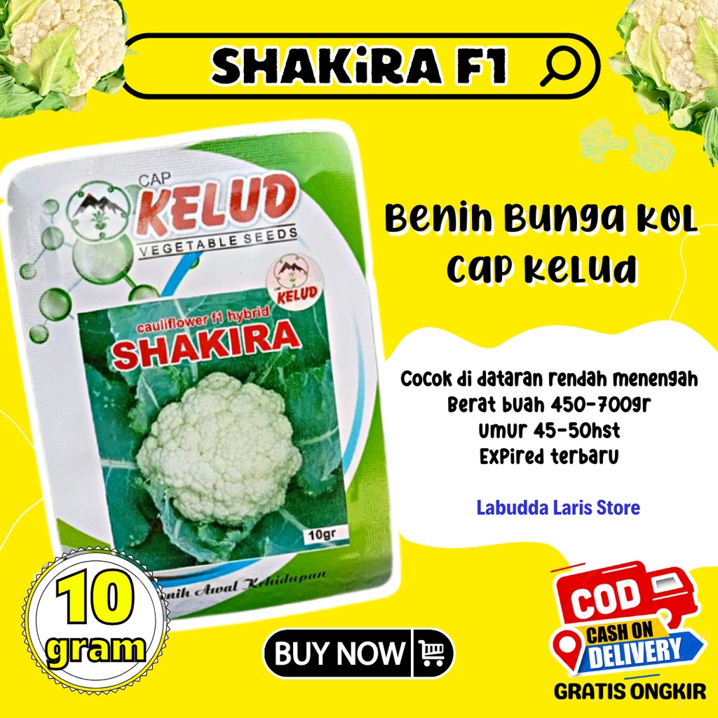 Benih Bunga Kol Shakira F1 10 Gram Cap Kelud - Benih Kembang Kol Cauliflower Hybrid - Benih Kembang 