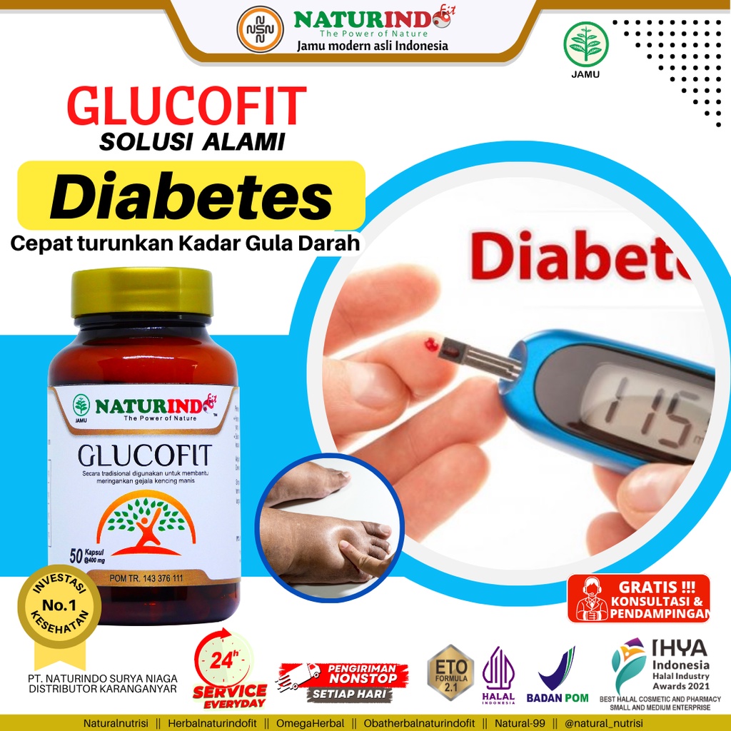 Obat Diabetes Paling Ampuh Herbal Diabetes Obat Gula Darah Tinggi Obat Kencinrg Manis Obat Diabetes Kering Disertai Luka Glucofit Naturindo