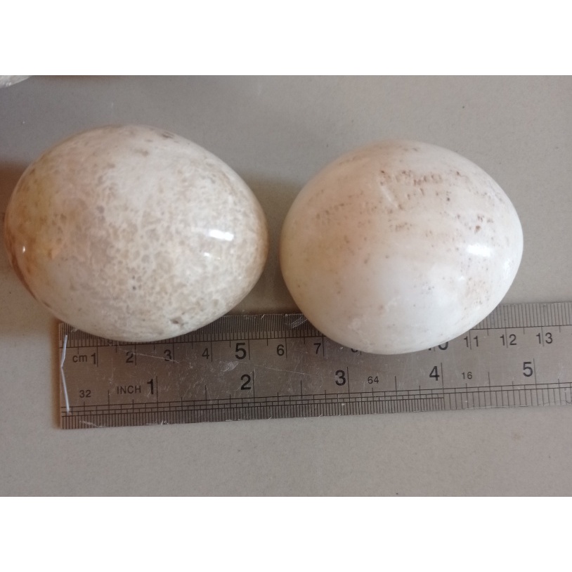 Satu Set Hiasan Dekorasi Batu Marmer Egg Meditation Style 5 Telor Besar + Piring