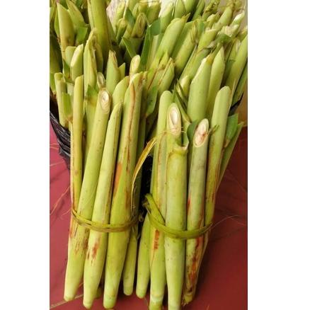 

((K-8Y㊚)) Terubuk / Tebu telur Murah Berat1Kg viral