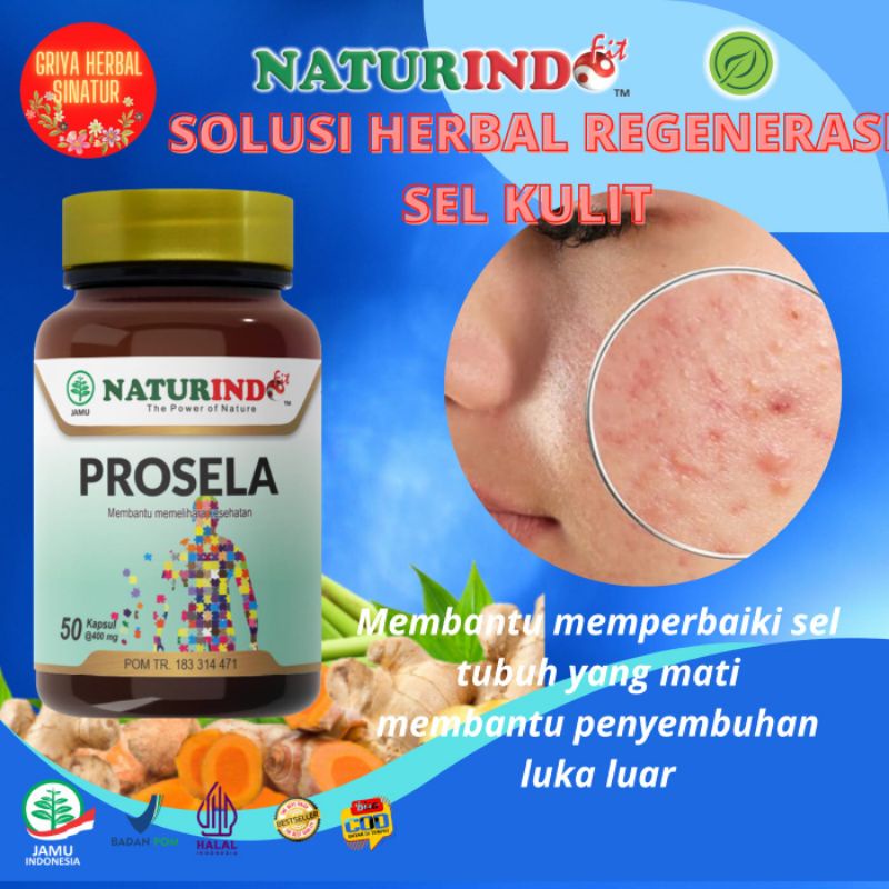 PROSELA OBAT HERBAL  REGENERASI SEL KULIT