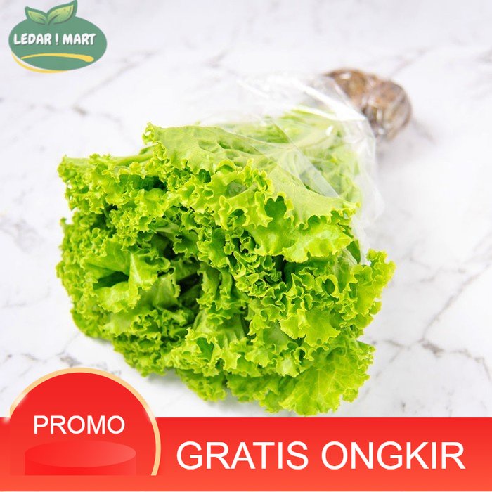 

Selada Keriting Organik