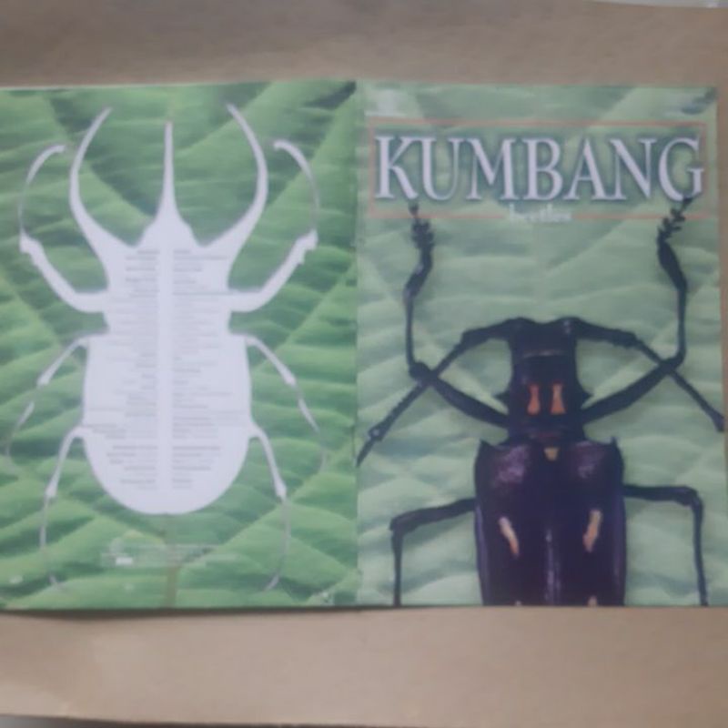 

Perangko kemasan filateli Kumbang Beetles buku prangko