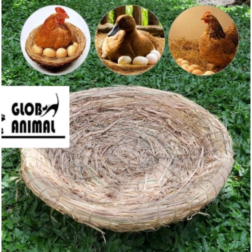 SARANG JERAMI BESAR 35 CM tarangan ayam sarang susuh serat jerami