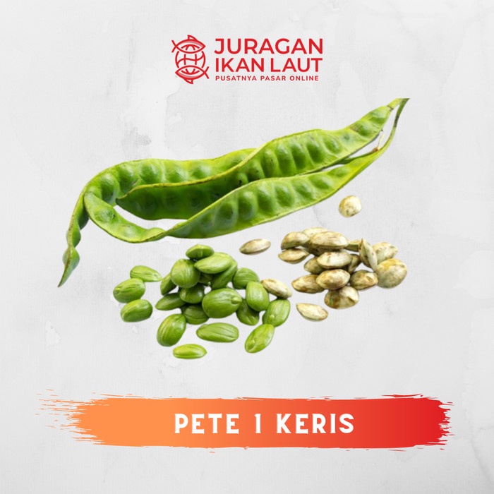 

Pete / Petai Segar Berkualitas - 1 Keris