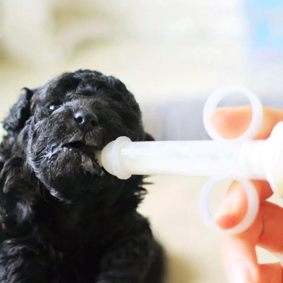 Dot Susu Feeding Kit F - Suntikan Pipet Alat Pemberi Obat / Susu Kucing Anjing