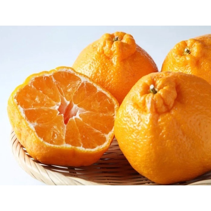 

Jeruk Kupas Dekopon Papagan Chun Jian IMPORT 500 gr