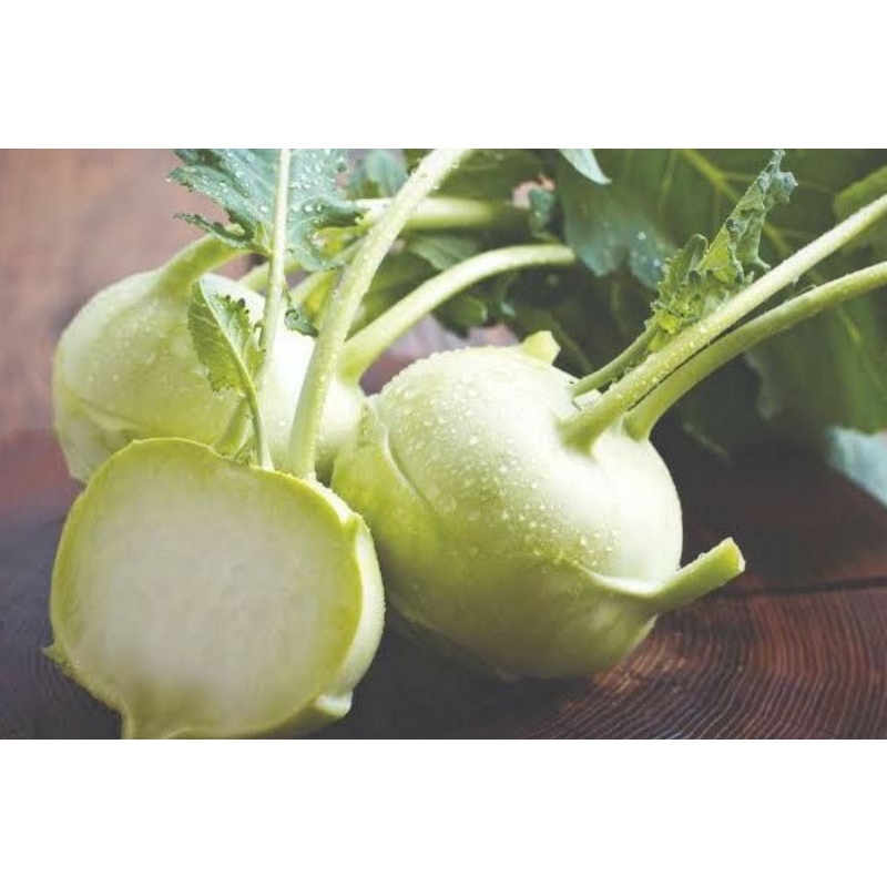 Benih KOHLRABI HIJAU IMPOR isi 5 biji