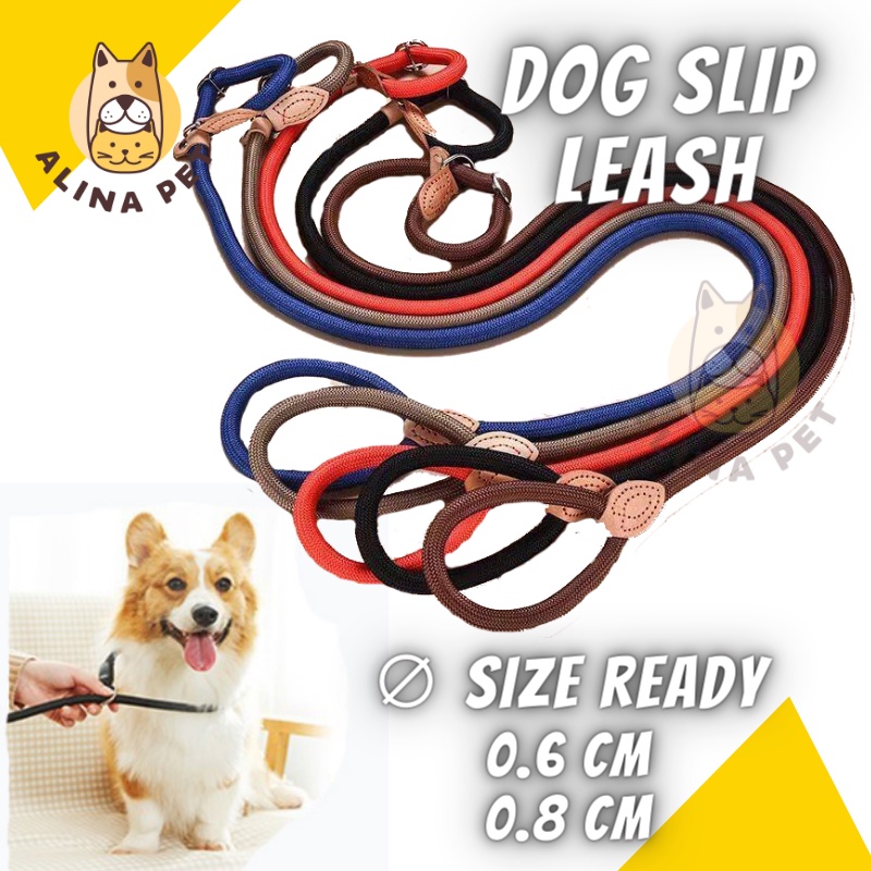 Dog Slip Leash Tali Tuntun Anjing Cesar Milan Pet Leash Dog Leash Pet Dog Leash Anjing Kecil