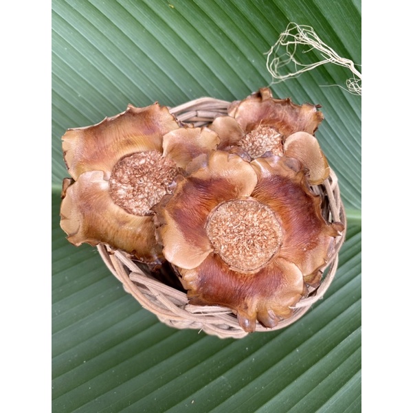 Jual Dried coconut flower petals || kelopak bunga kelapa || kelopak