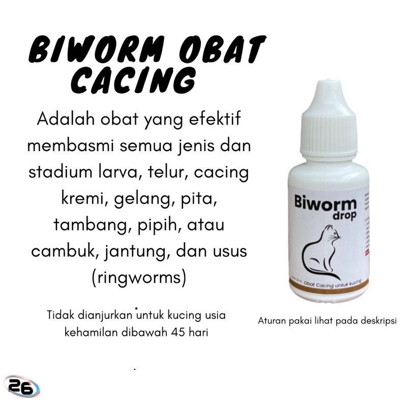 BIWORM DROP obat cacing kucing kitten dewasa