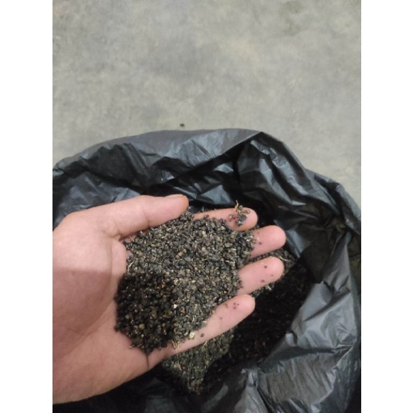 

Tiwul Instant Hitam