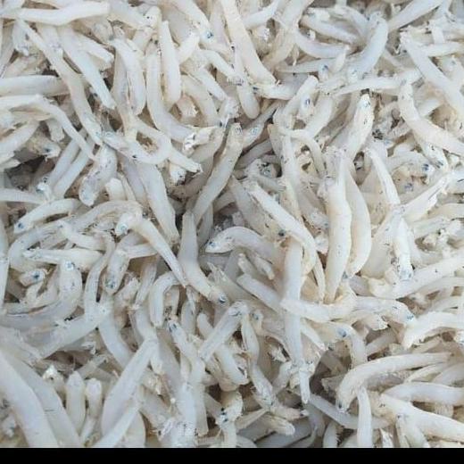 

ikan teri toge kasar medan