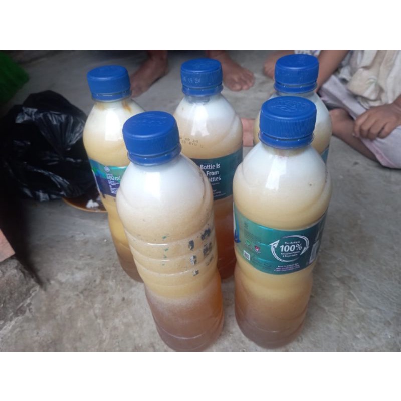 

Madu Asli bima 100%