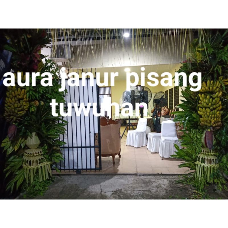 Pisang Tuwuhan acara pernikahan/siraman/adat aura janur
