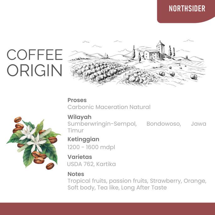 

BIJI KOPI ARABIKA IJEN NATURAL CARBONIC MACERATION 500GR NORTHSIDER