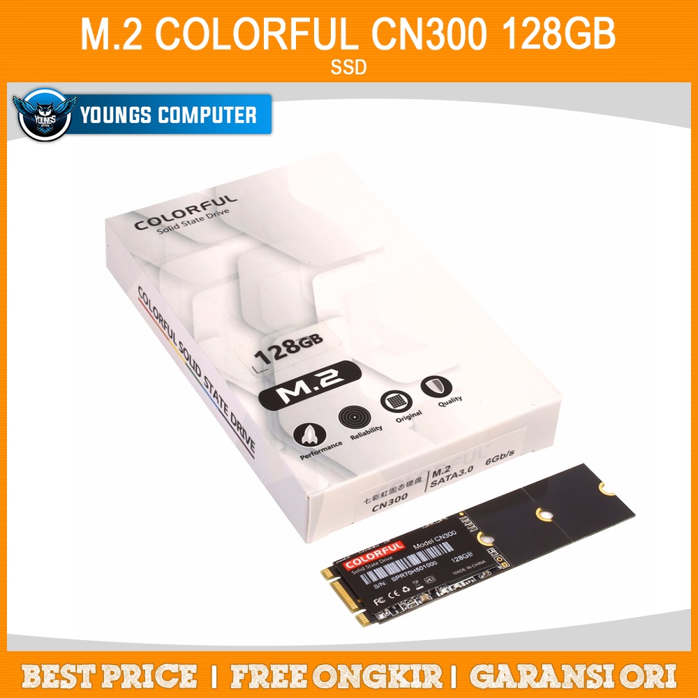 SSD M.2 COLORFUL CN300 128GB