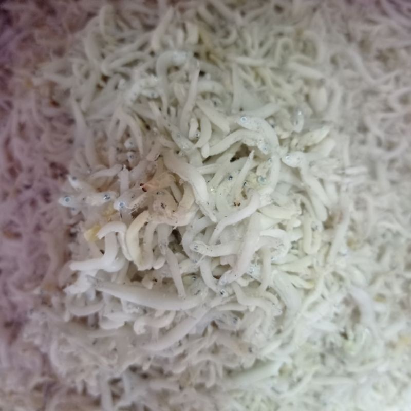 

Teri Medan premium 250gr