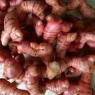 

Laos Segar 1kg
