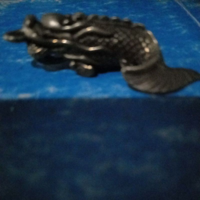 

ikan naga kuningam