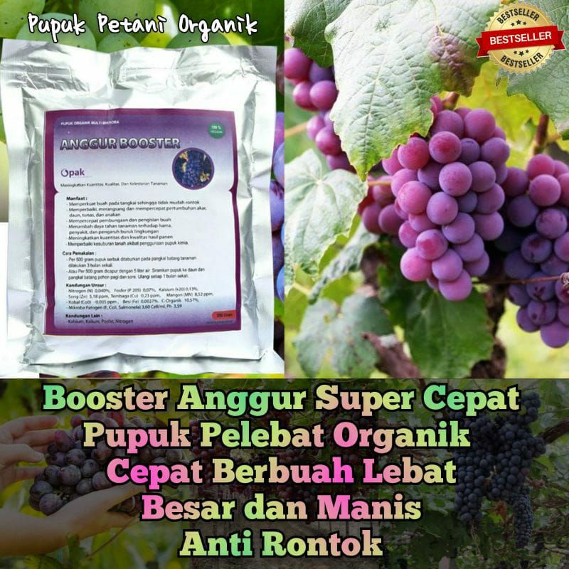 Pupuk Organik Pelebat Buah Dan Booster Anggur Cepat Berbuah Lebat