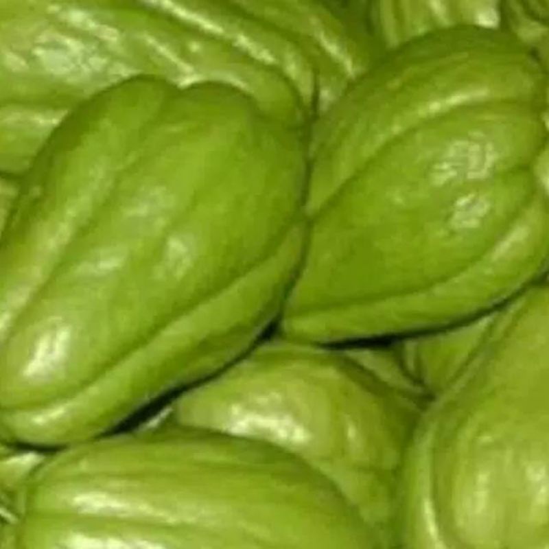 

Labu Siam harga per biji