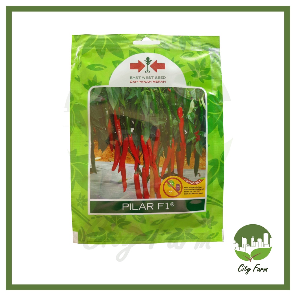 BENIH CABE BESAR PILAR SP (125 BTR) PANAH MERAH