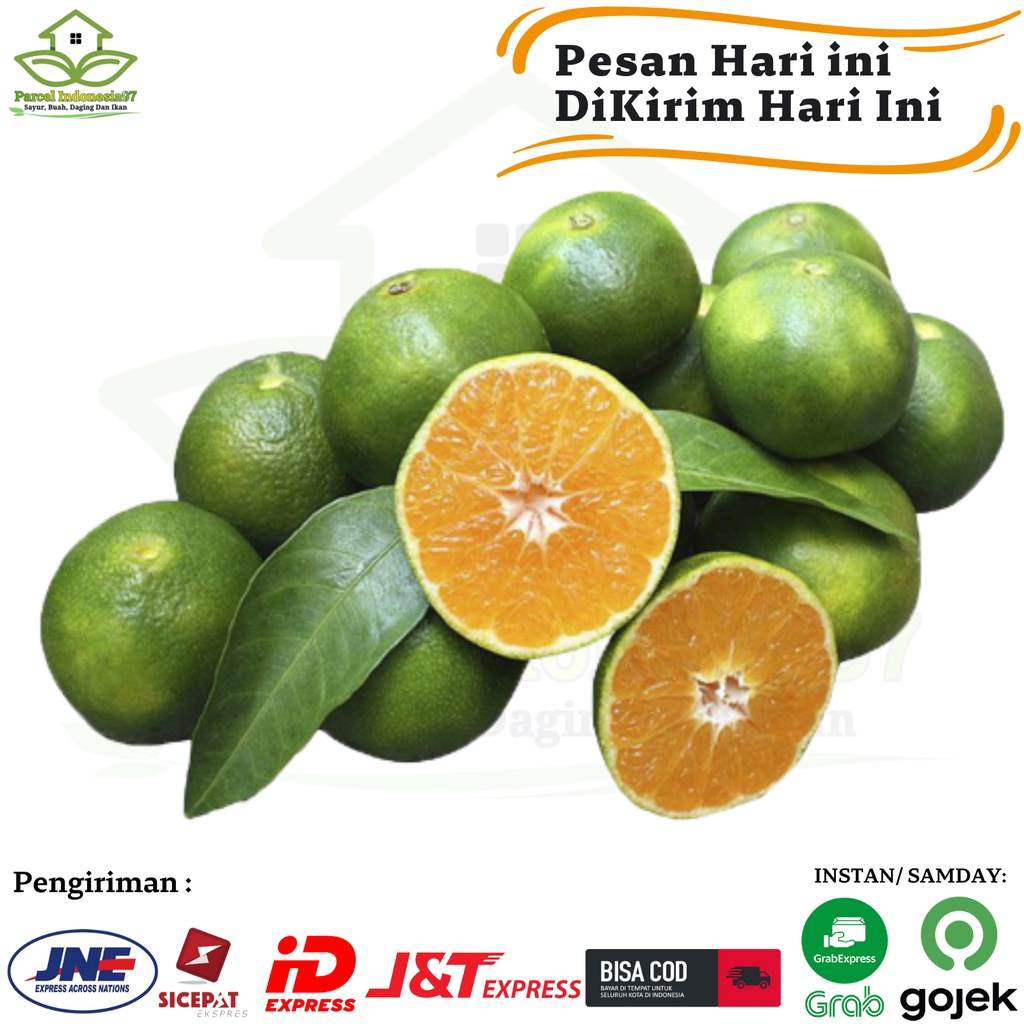 

Jeruk Siam Jember / Pontianak Jeruk Peras Segar 500gr Murah Promo