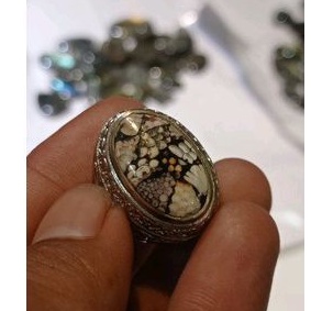 jipen posil motip sisik