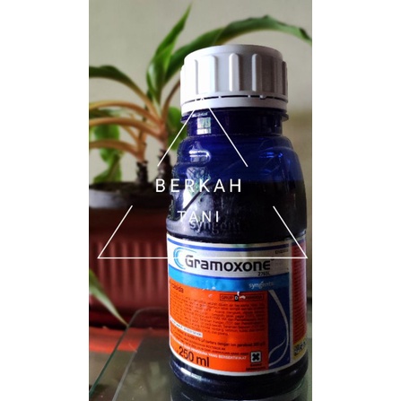 Gramoxone Herbisida Obat Sawah Obat Pertanian Obat Rumput 250ml ORIGINAL 100%