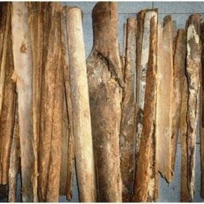 

MURAH KULIT KAYU DUWET / JAMBLANG KERING 250 GRAM