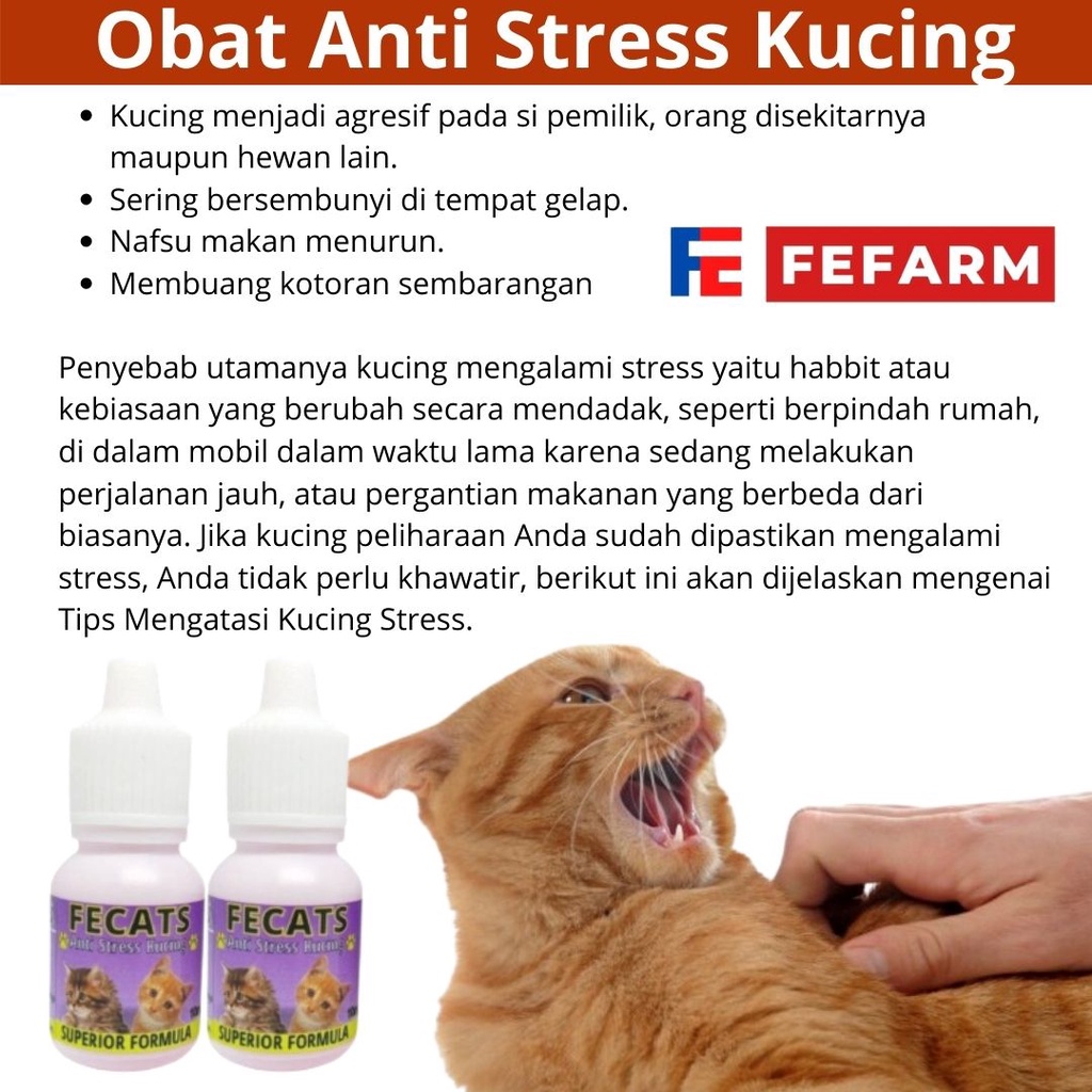 Obat Kucing Anti Stres Penghilang Stress Kucing Cat Kitten Fecats FEFARM
