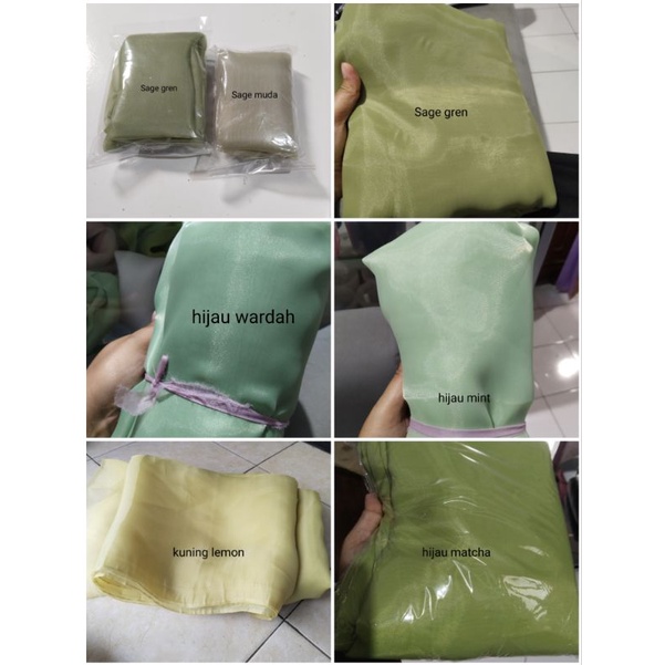 aplikasi bunga zinia10 cm