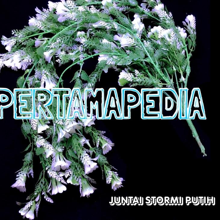 DAUN JUNTAI STORMI/ Bunga Plastik/ Bunga Dekorasi/ Bunga Hiasan/ Bunga Artificial/ Daun Rambat Plast