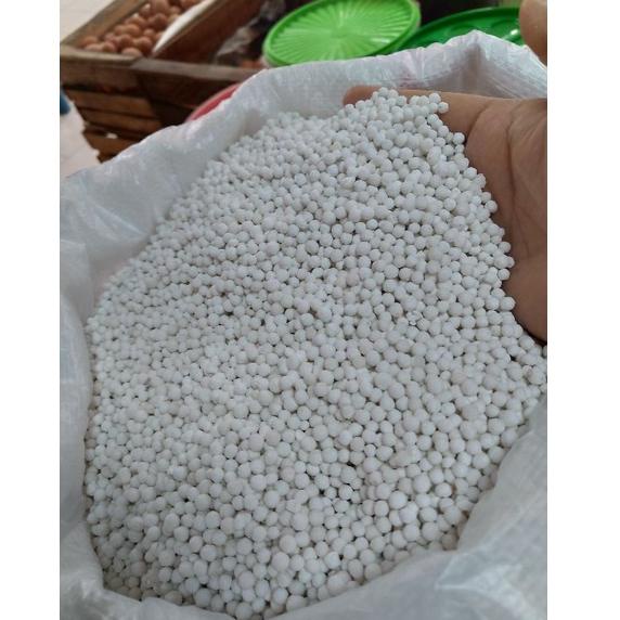 

(O-L7L)(♫♪) Sagu Mutiara Putih Super/ Biji Mutiara Putih Super 250 gr amanah