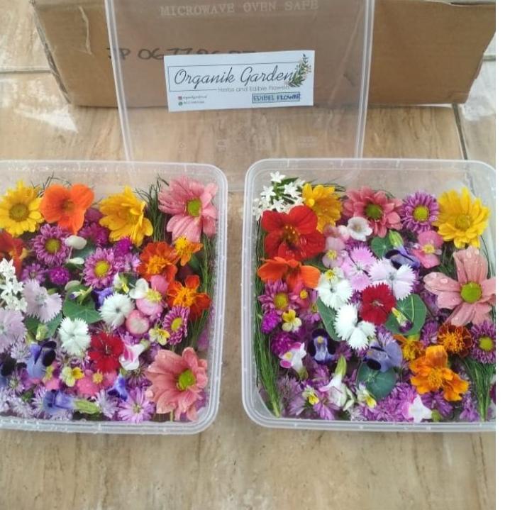 

FLASH SALE Mix edible flower ^ 891