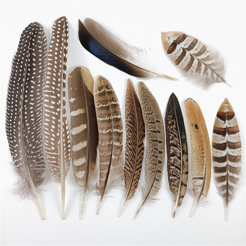 Pheasant Feathers Artificial - Bulu Unggas 4-8cm (10pcs)