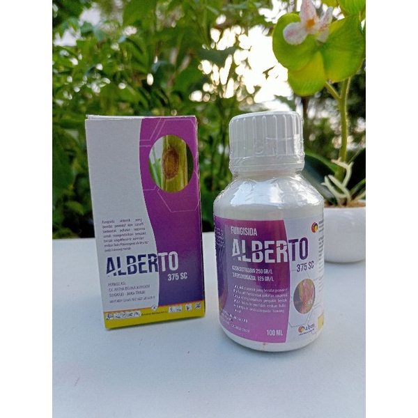 ALBERTO 375 SC 100ML