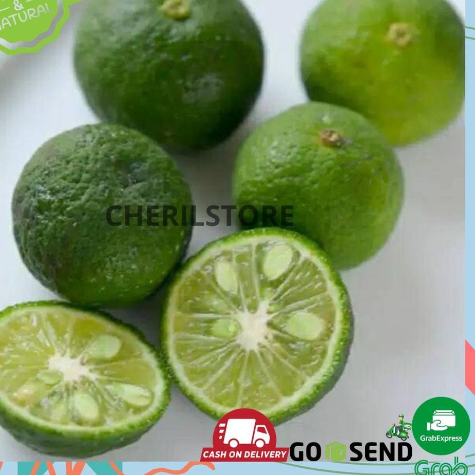 

STOCK TERBATAS JERUK LIMO / LIMAU / JERUK SAMBAL SAYURAN SEGAR დ 850