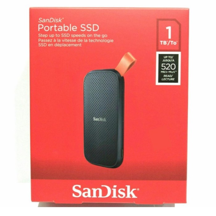 Eksternal SSD Sandisk E30 1TB - Portable SSD Eksternal USB 3.2