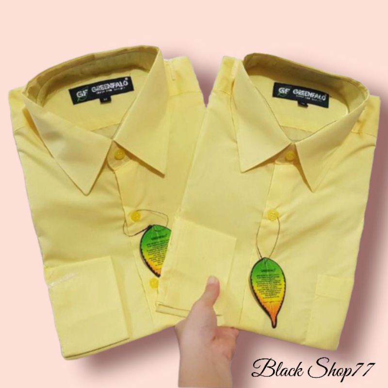 Kemeja Pria Polos Lengan Panjang Premium (GREENFALO) Kuning Lemon