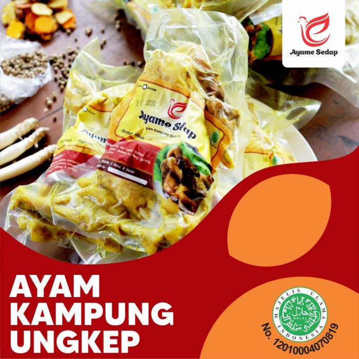 

Ayame Sedap - Ayam Kampung Ungkep - Frozen Food Premium Tx0340