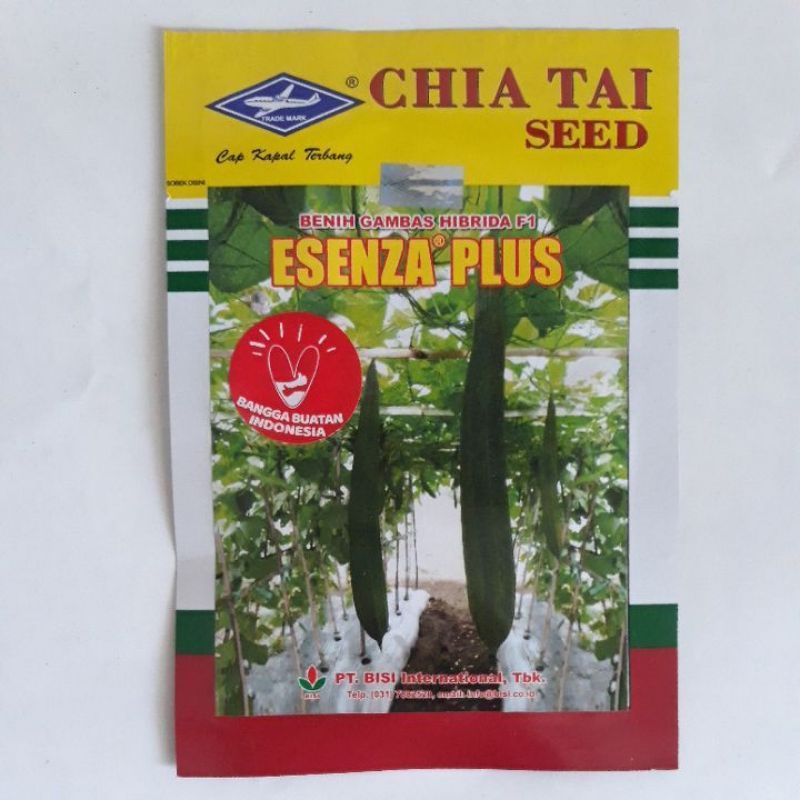 PROMO BENIH GAMBAS ESENZA PLUS - BIBIT OYONG KAPAL TERBANG BISI