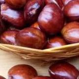 

[N-2Y ✪] JENGKOL organik @500gr fresh tua punel kwalitas super baru petik asli PRIGI TRENGGALEK-murah
