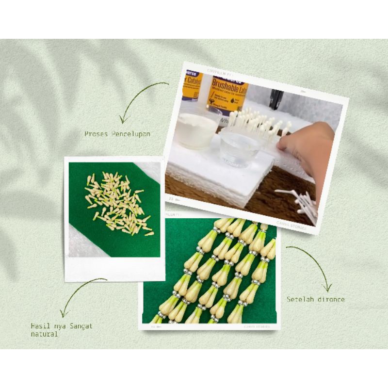 RK Querca Latex Bahan Melati Karet Premium. Ronce Melati