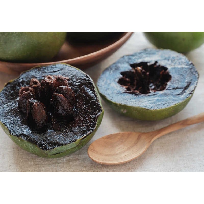 Bibit Tanaman Buah Giant Black Sapote Import/Sawo Hitam Okulasi Langka dan Unik/ Sawo Mexico