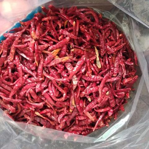 

[D(7)U ☛] [Ready Stok] CABE KERING TEJA IMPORT cabe setan kering super pedas 250 gram-premium