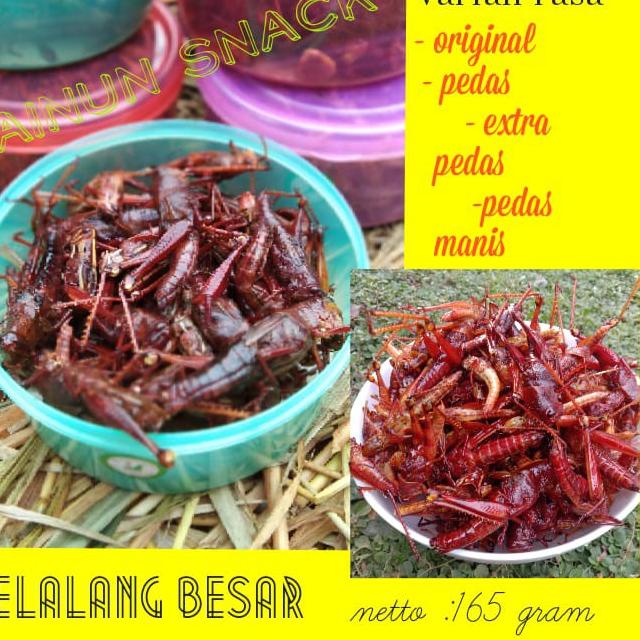 

(F-U-T-✔) ⭐⭐⭐⭐⭐ COD / BELALANG GORENG/WALANG GORENG BESAR BEST SELLER amanah