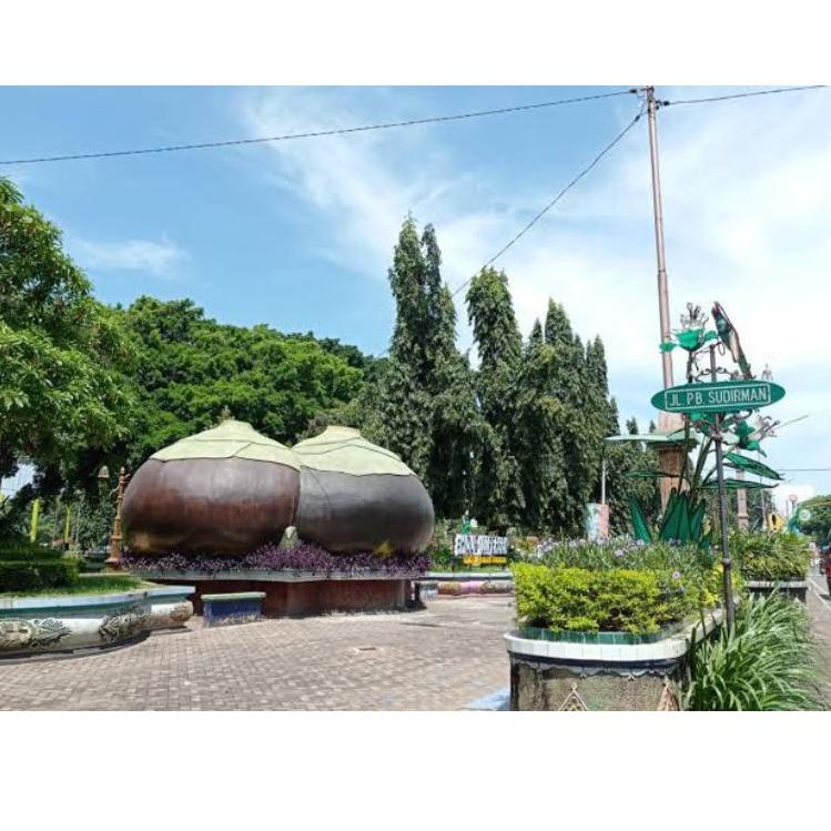 

<D-7.I♫♪> Buah Siwalan/buah lontar/buah ental khas kota Tuban kekinian