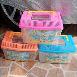 TERARIUM Aquarium Mini Ikan Cupang Ikan Hias Kura Kura Hamster